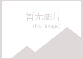 浮山县夏槐咨询有限公司